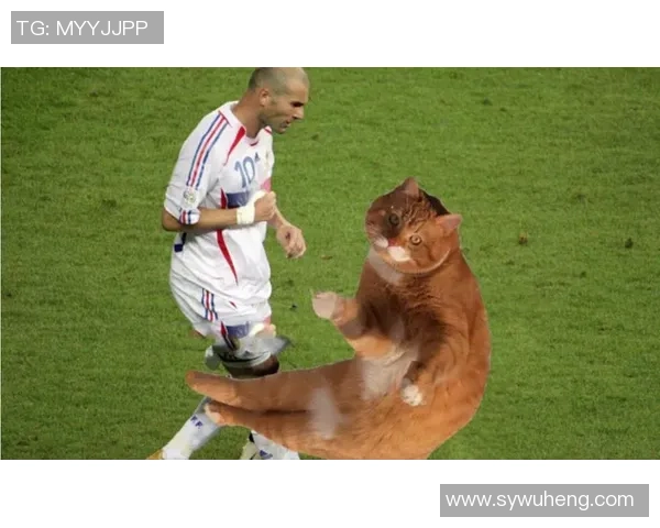 足球明星的萌宠大集合这些球星与宠物的甜蜜瞬间你都看过吗