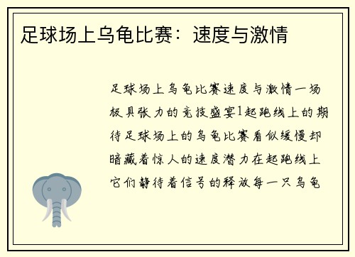 足球场上乌龟比赛：速度与激情
