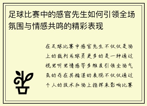 足球比赛中的感官先生如何引领全场氛围与情感共鸣的精彩表现