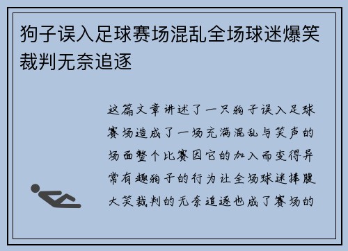 狗子误入足球赛场混乱全场球迷爆笑裁判无奈追逐