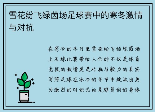 雪花纷飞绿茵场足球赛中的寒冬激情与对抗