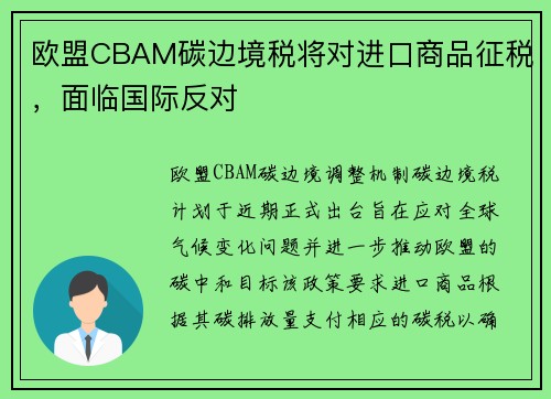 欧盟CBAM碳边境税将对进口商品征税，面临国际反对