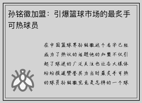 孙铭徽加盟：引爆篮球市场的最炙手可热球员