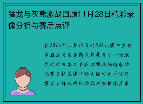 猛龙与灰熊激战回顾11月28日精彩录像分析与赛后点评