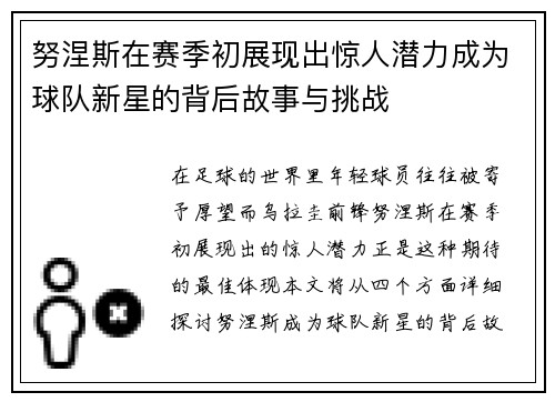 努涅斯在赛季初展现出惊人潜力成为球队新星的背后故事与挑战
