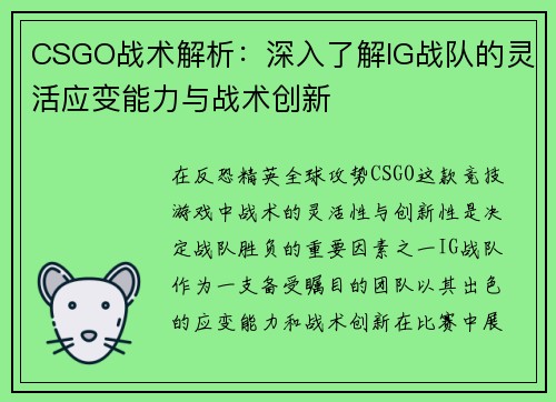 CSGO战术解析：深入了解IG战队的灵活应变能力与战术创新