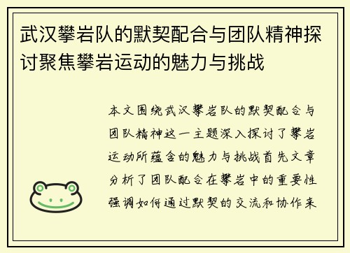 武汉攀岩队的默契配合与团队精神探讨聚焦攀岩运动的魅力与挑战